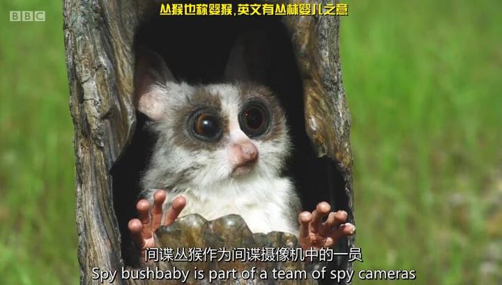 轻量冷门修复